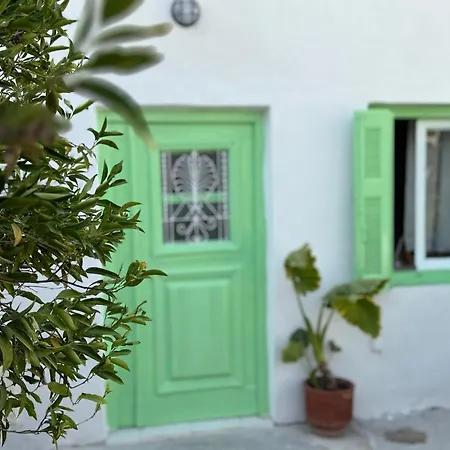 Bloom Yard アパート Triovasálos